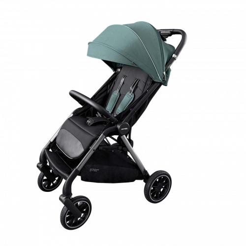 Коляска прогулочная Carrello Delta CRL-5517